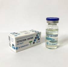 Testosterone P 10ml